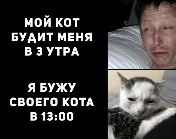 Мем, Микки Маус