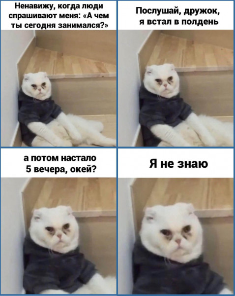Мем, Микки Маус