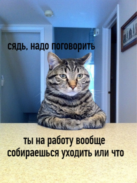 Мем, Микки Маус