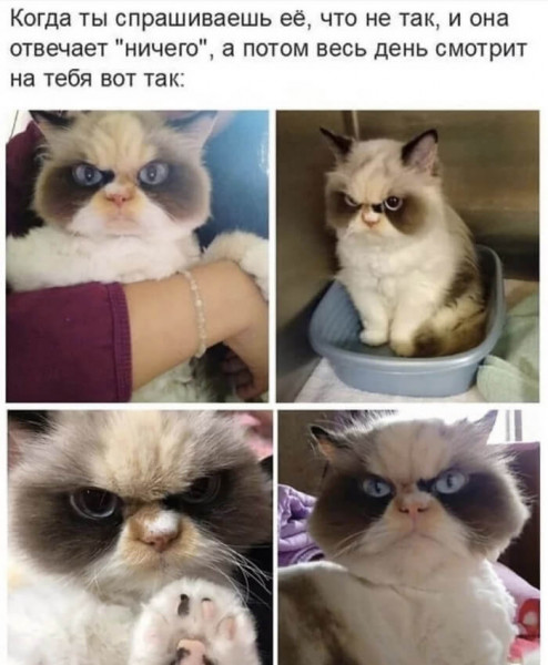 Мем, Микки Маус