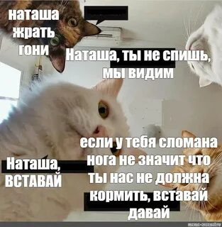 Мем, Микки Маус