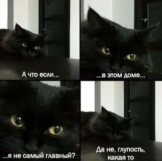 Мем, Микки Маус