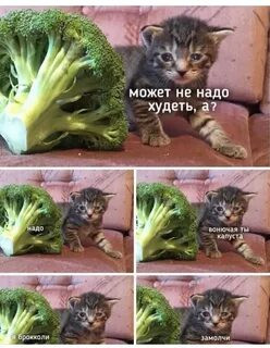 Мем, Микки Маус
