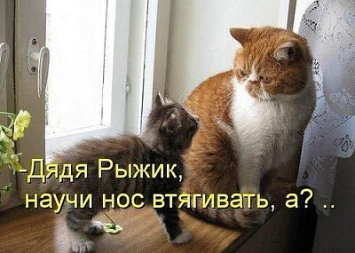 Мем, Микки Маус
