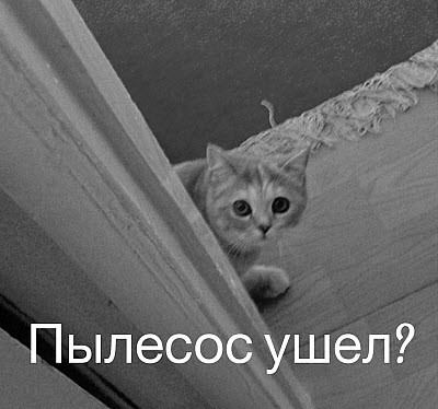 Мем, Микки Маус