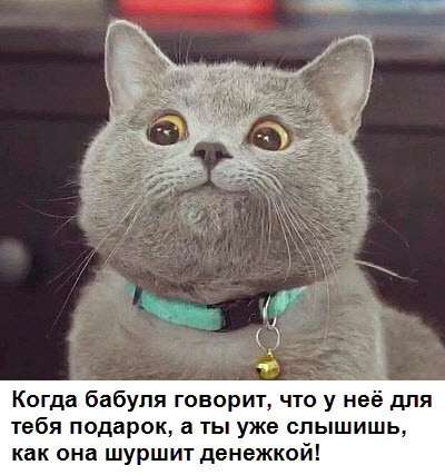 Мем, Микки Маус