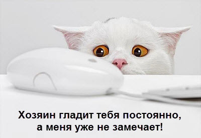 Мем, Микки Маус