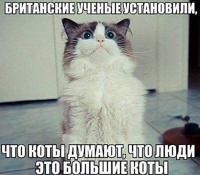 Мем, Микки Маус