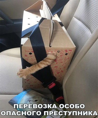 Мем, Микки Маус