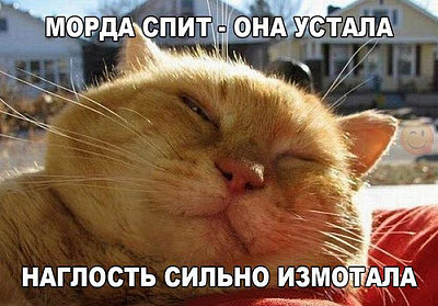 Мем, Микки Маус