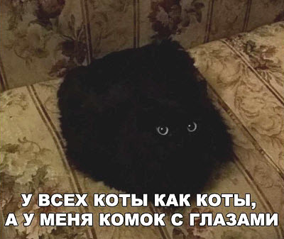 Мем, Микки Маус