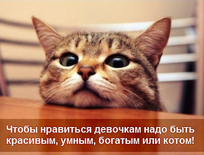 Мем, Микки Маус