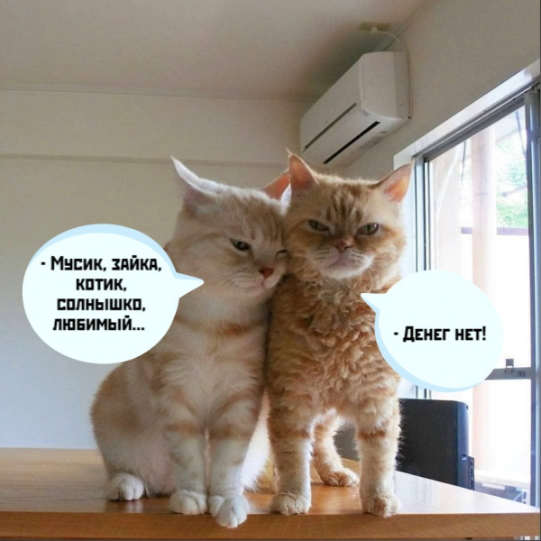 Мем, Микки Маус