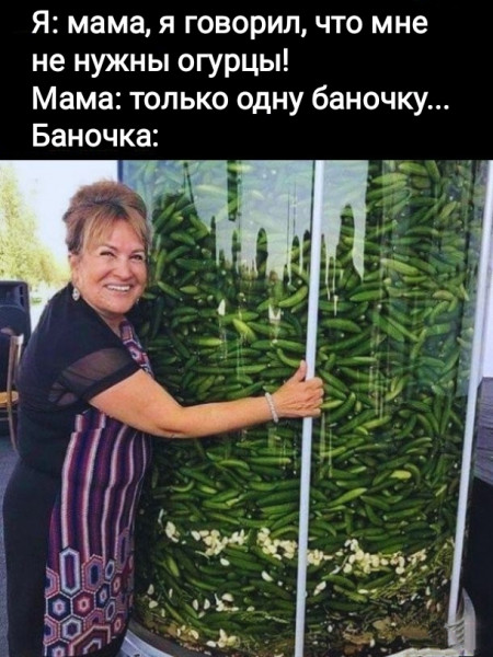 Мем, Рысь
