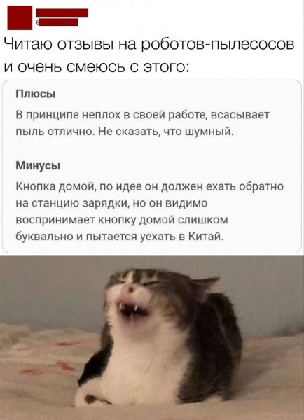 Мем: Робот-пылесос., henh