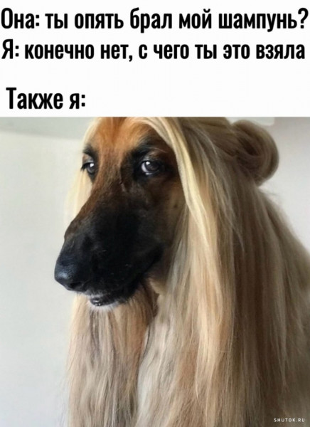 Мем, Джокер