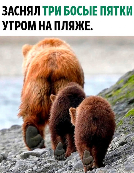 Мем, Kuzyma