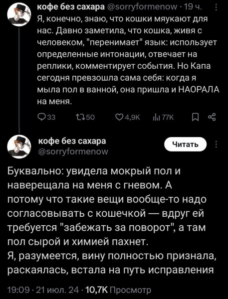 Мем: Кошка Капа., henh