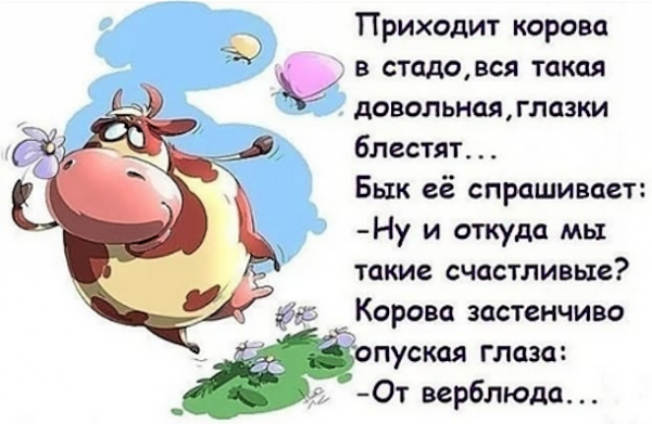 Мем, Ymir