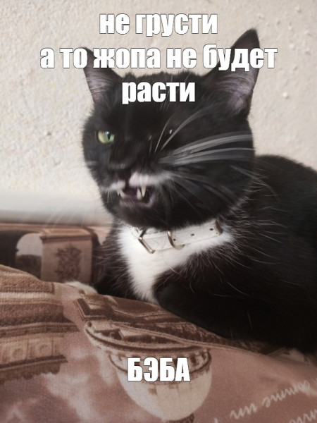 Мем, Микки Маус