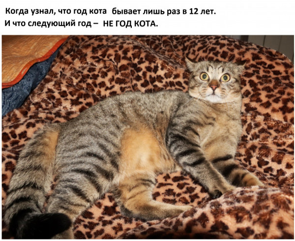 Мем, Микки Маус