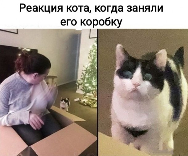 Мем, Рысь
