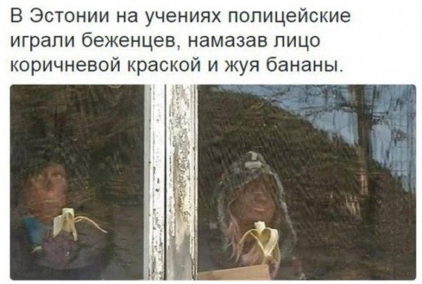 Мем: Выглядит убедительно, Dinenti 78