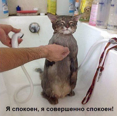 Мем, Микки Маус