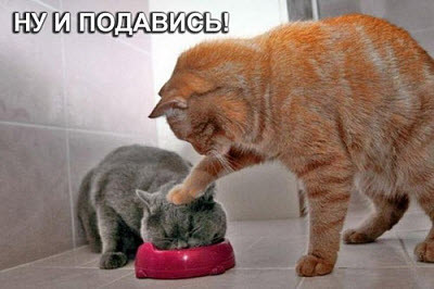 Мем, Микки Маус