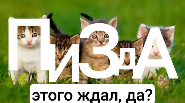 Мем