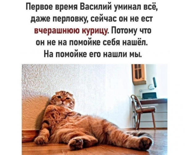 Мем, Kuzyma