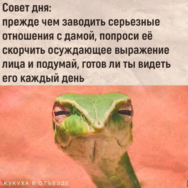 Мем, Mghost