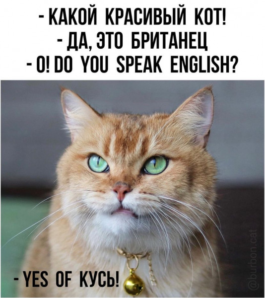 Мем, Микки Маус