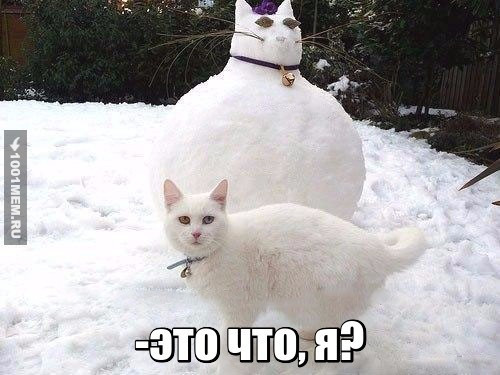 Мем, Микки Маус