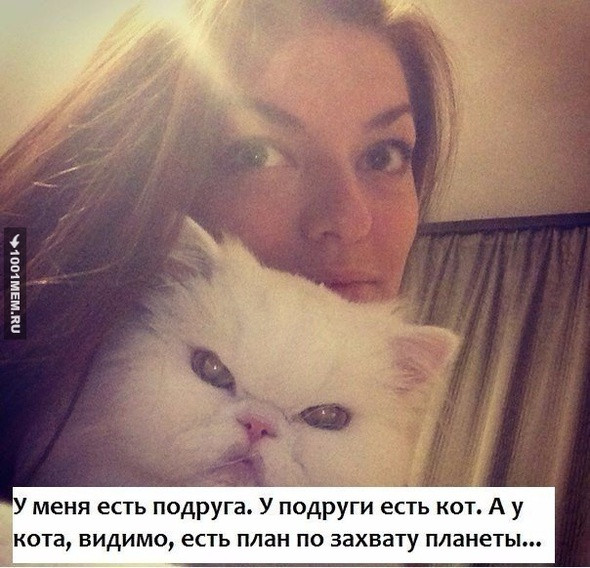 Мем, Микки Маус