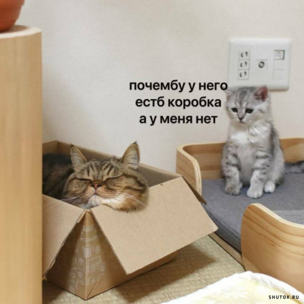 Мем, Микки Маус