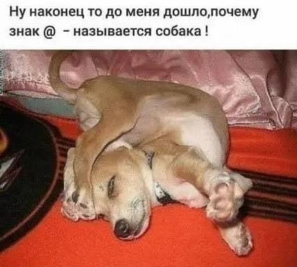 Мем: Теперь всё встало на свои места, acorn2007