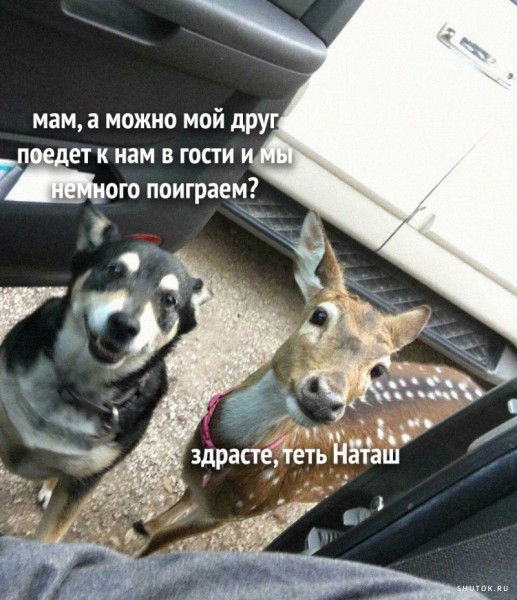 Мем, Джокер