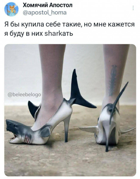 Мем, Максим Камерер