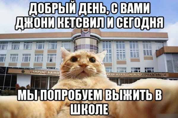 Мем, Микки Маус