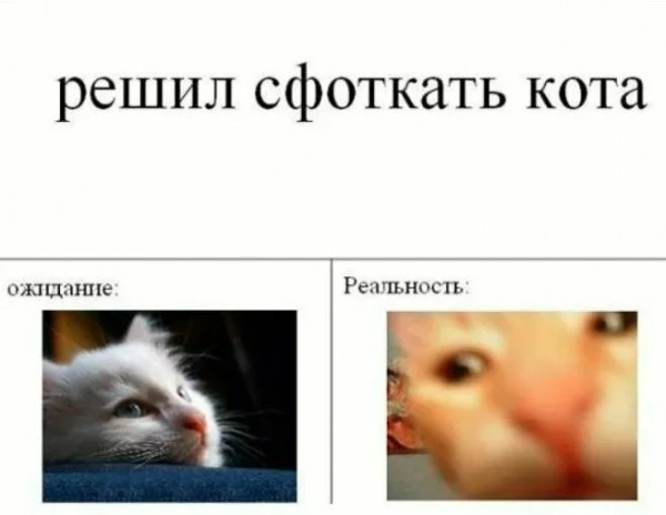 Мем, Микки Маус