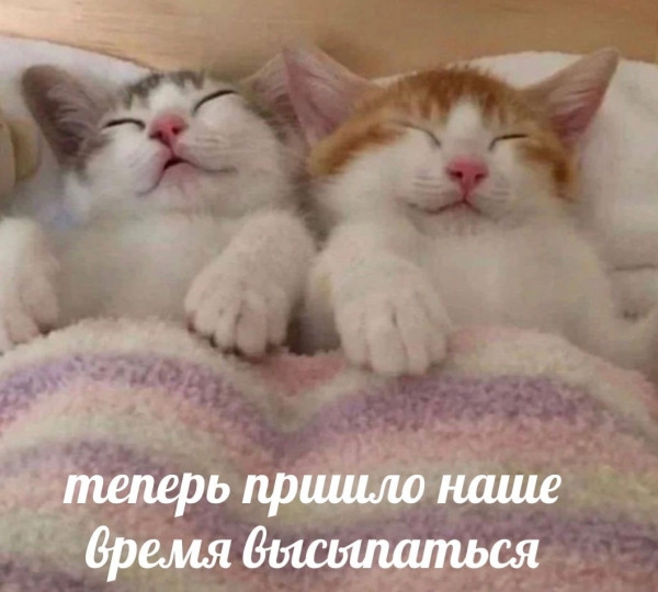 Мем, Микки Маус
