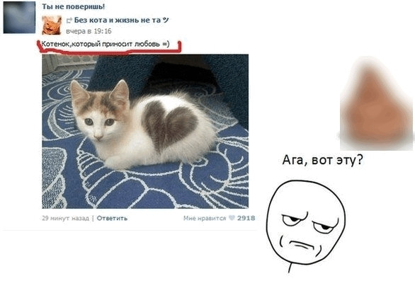 Мем, Микки Маус