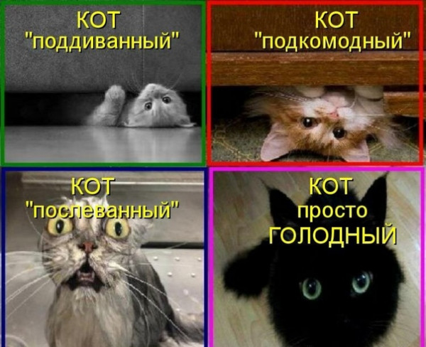 Мем, Микки Маус