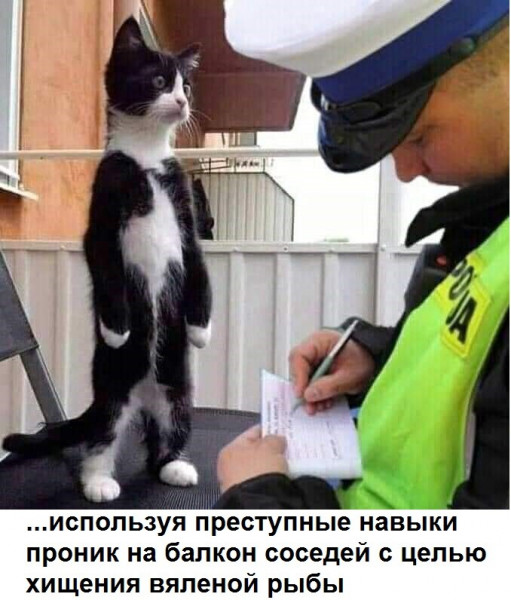 Мем, Микки Маус