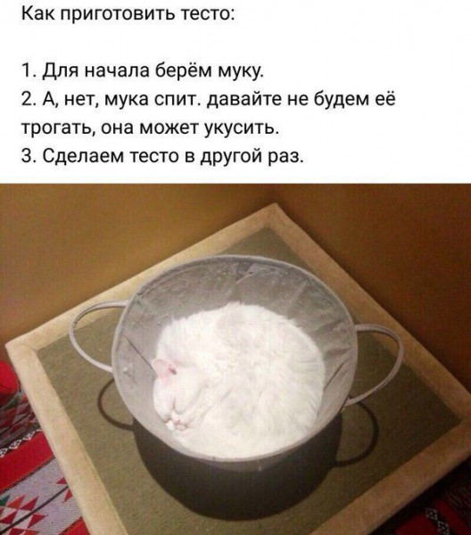 Мем, Микки Маус