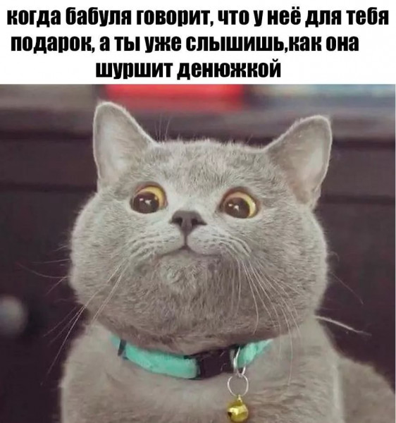 Мем, Микки Маус