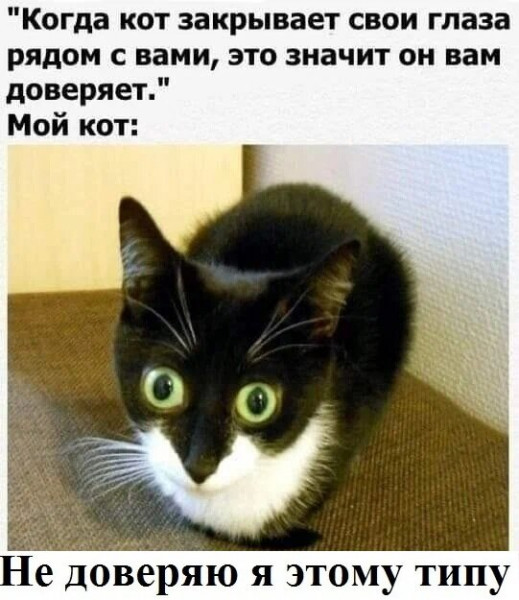Мем, Микки Маус