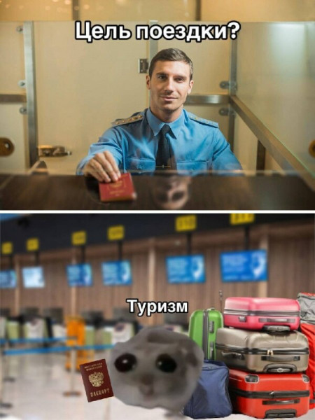 Мем, Микки Маус