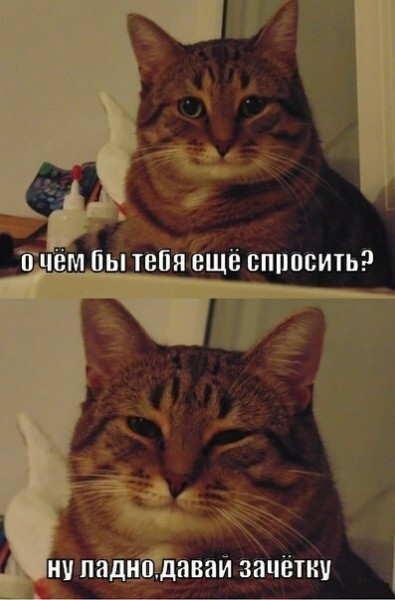Мем, Микки Маус